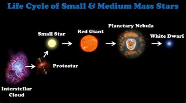 What does a medium mass star become at the end of its life?