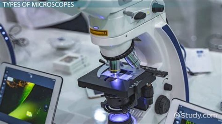 What does a microscopist do?