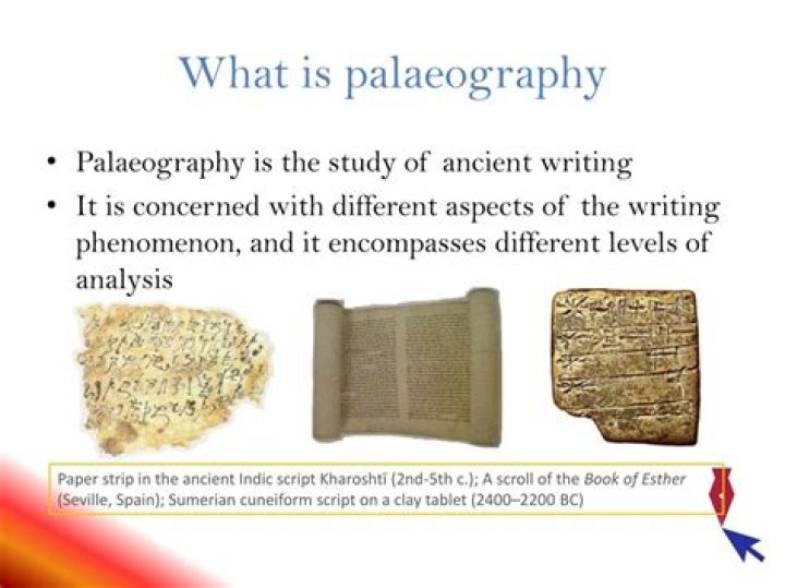 What does a paleographer study?