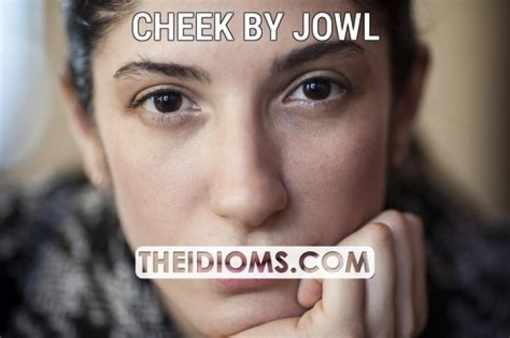 What does all cheek by jowl meaning?