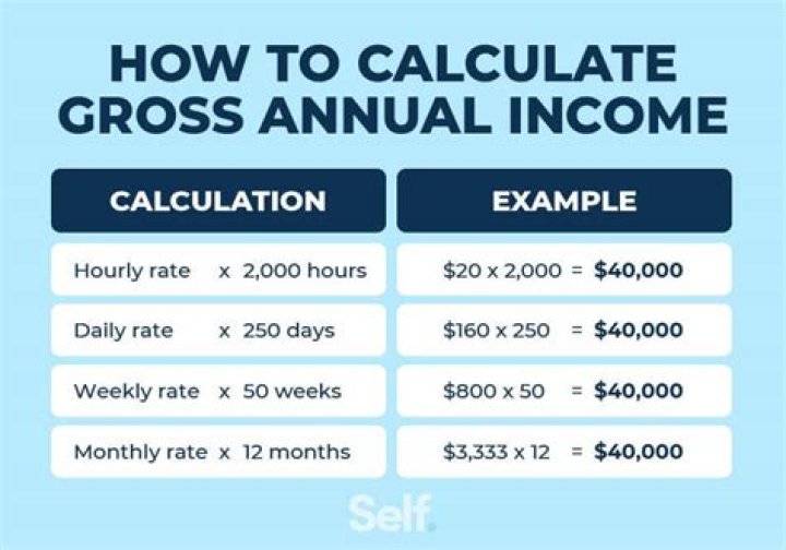 What does annual income mean?