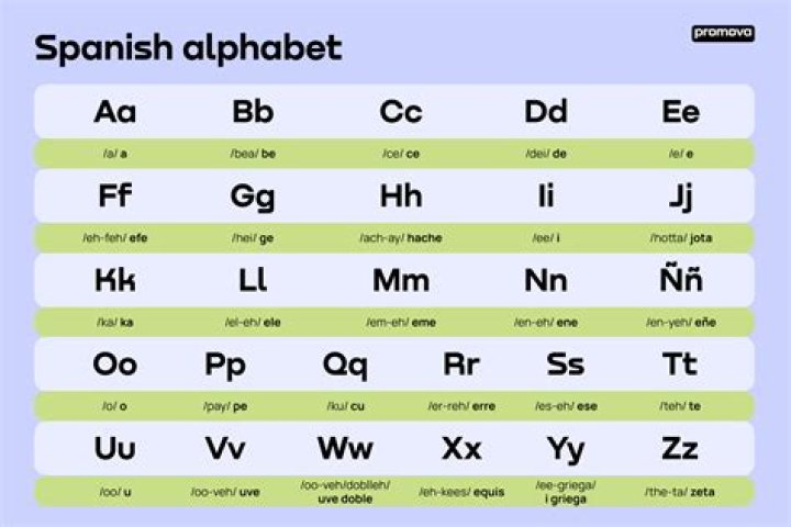 What does aphonic mean?