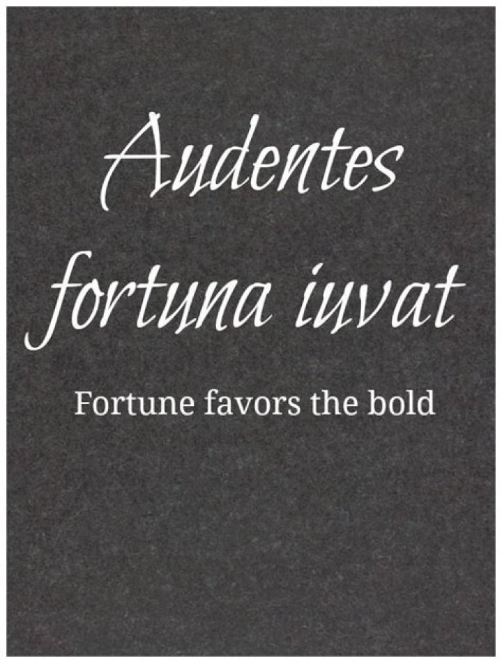 What does audaces fortuna juvat mean?