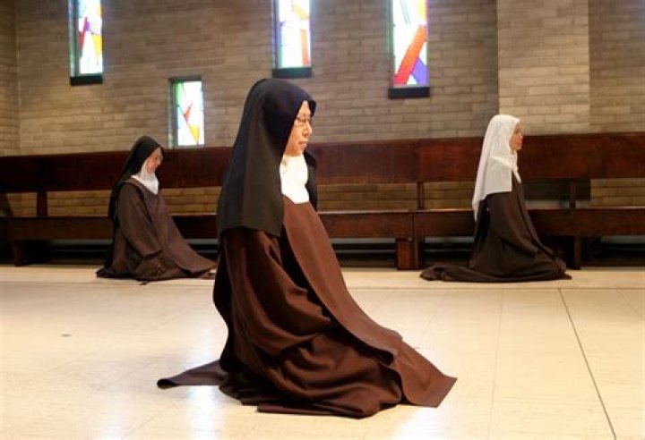 What does carmelite mean?