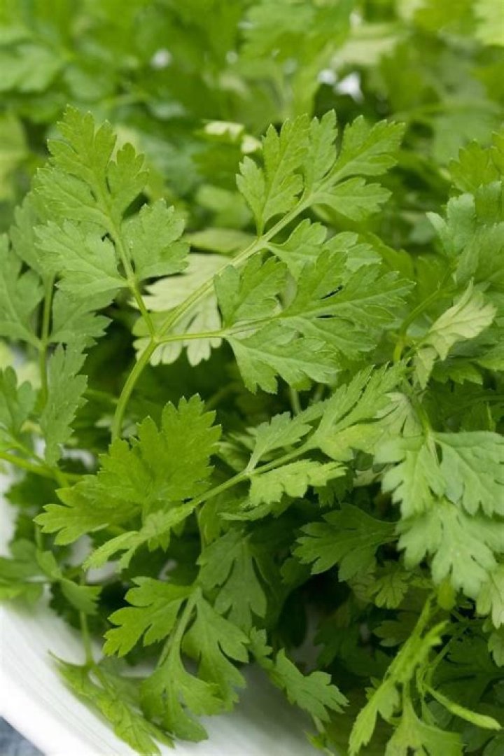 What does chervil taste like?
