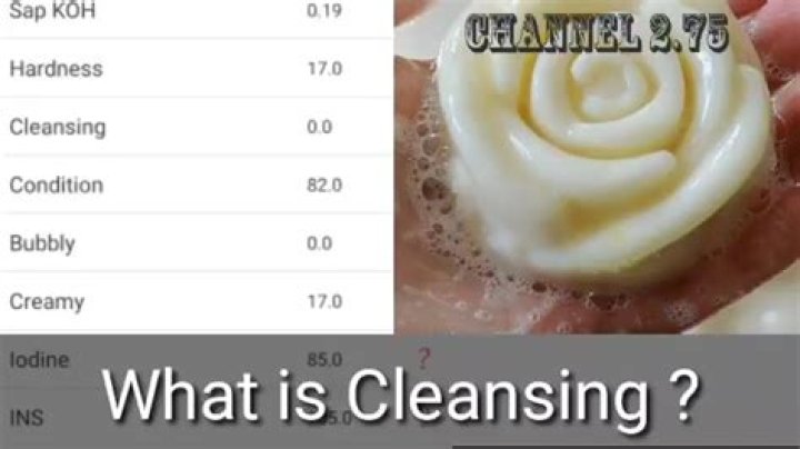 What does cleansing mean?