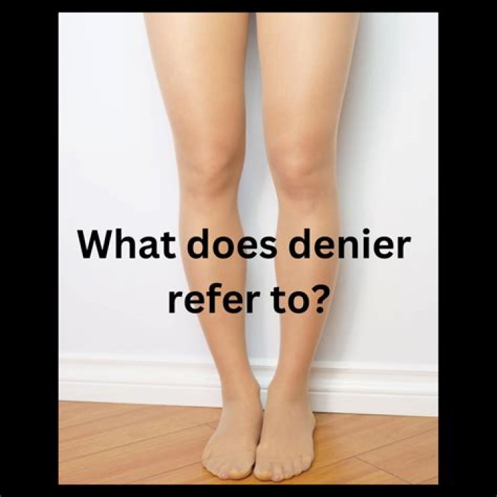 What does denier mean?
