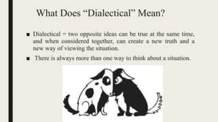 What does dialectical mean?