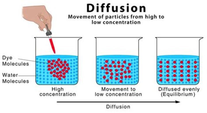 What does diffusion mean?