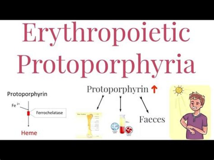 What does erythropoietic porphyria mean?