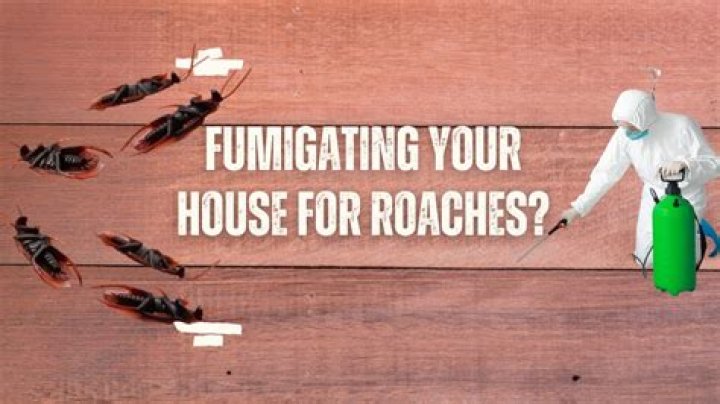 What does fumigating a house mean?