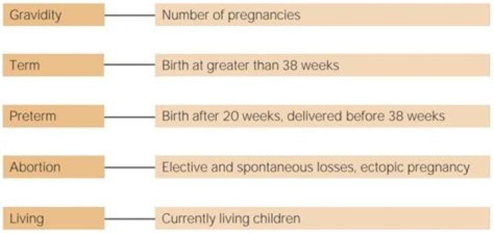 What does gravida 3 para 1 mean?
