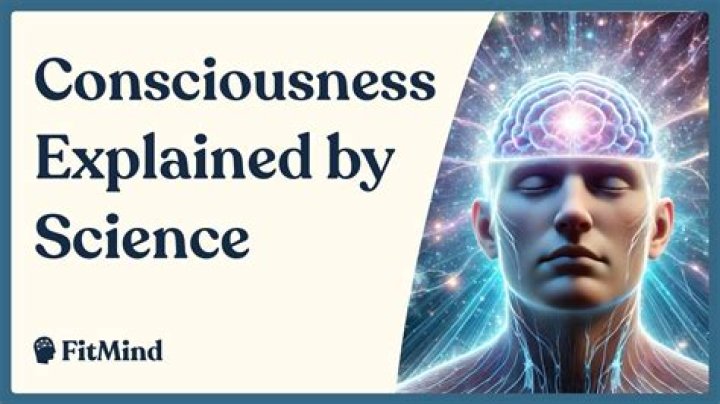 What does higher consciousness mean?