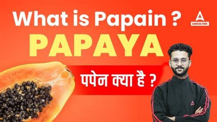 What does papain do?