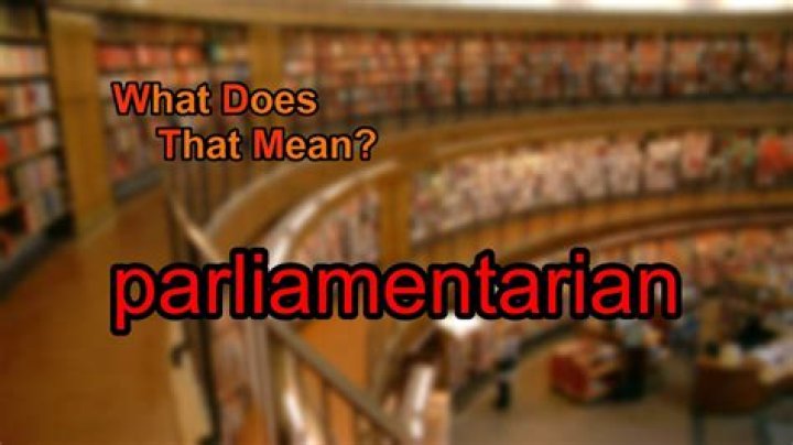 What does parliamentarian mean?