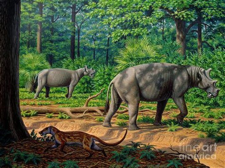 What does prehistoric creodont mean?