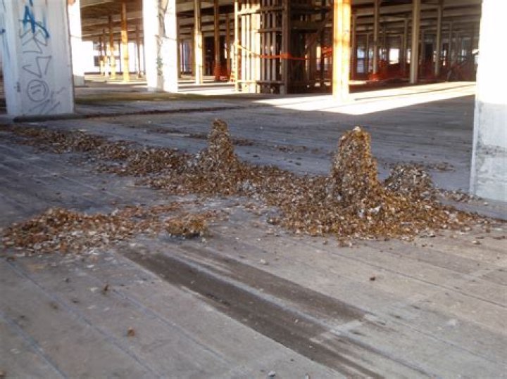 What does redevelopment mean?