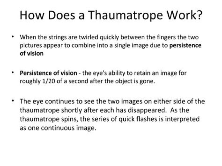 What does thaumatrope mean?