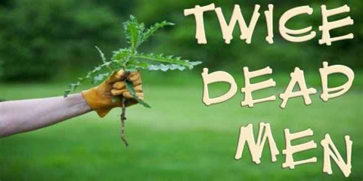 What does twice dead mean in the bible?