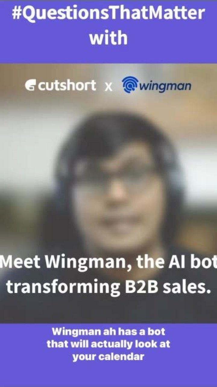 What does wingman do?