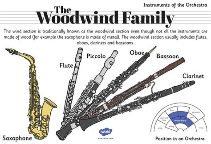What does woodwind mean?