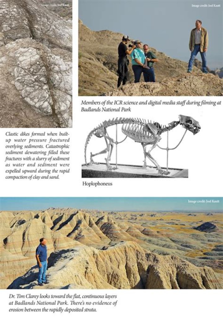 What era are pelmets?