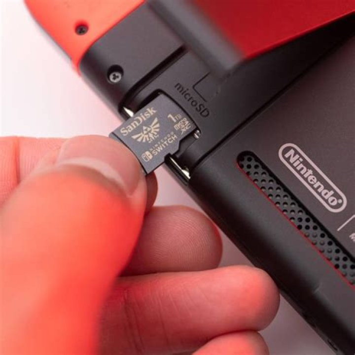 What format micro sd card for nintendo switch?