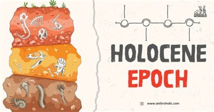 What happened during the holocene epoch?