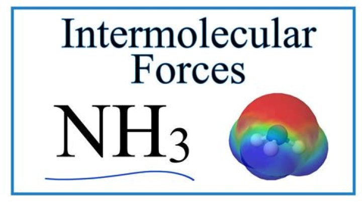 What intermolecular forces are present in nh3?