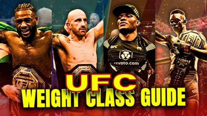 What is a catchweight fight?