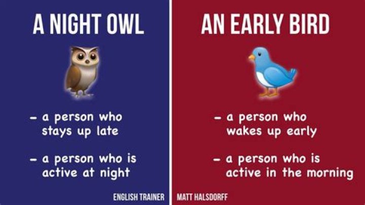 What is a night owl?