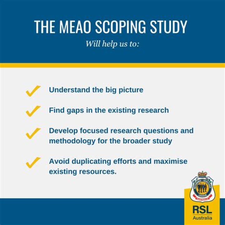 What is a scoping study?