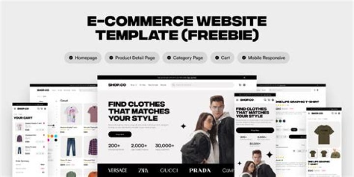 What is an ecommerce online store?