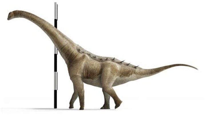 What is another titanosaur similar to savannasaurus?