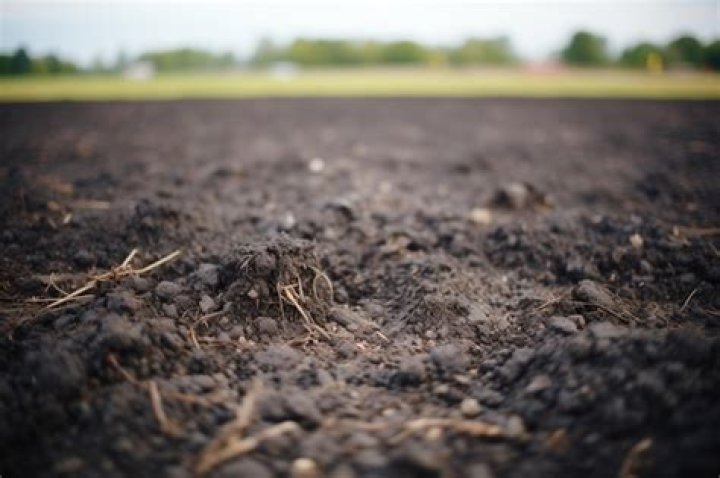 What is chernozemic soil?