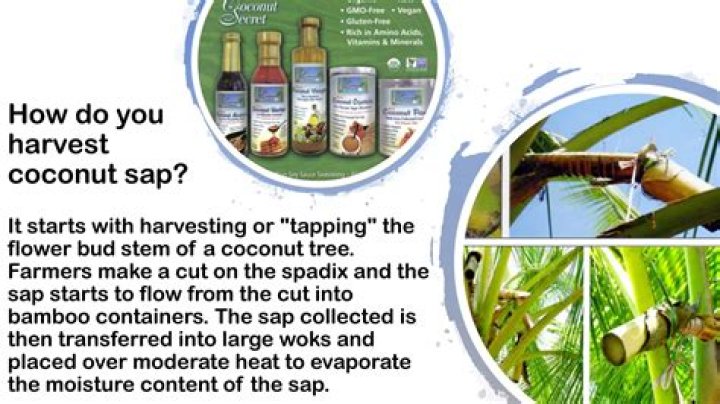 What is coconut sap?
