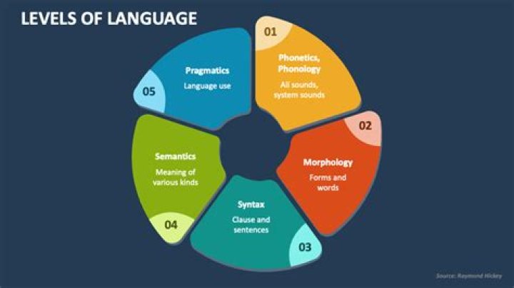 What is concordance in language learning?