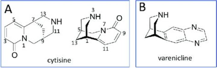 What is cytisine and varenicline?