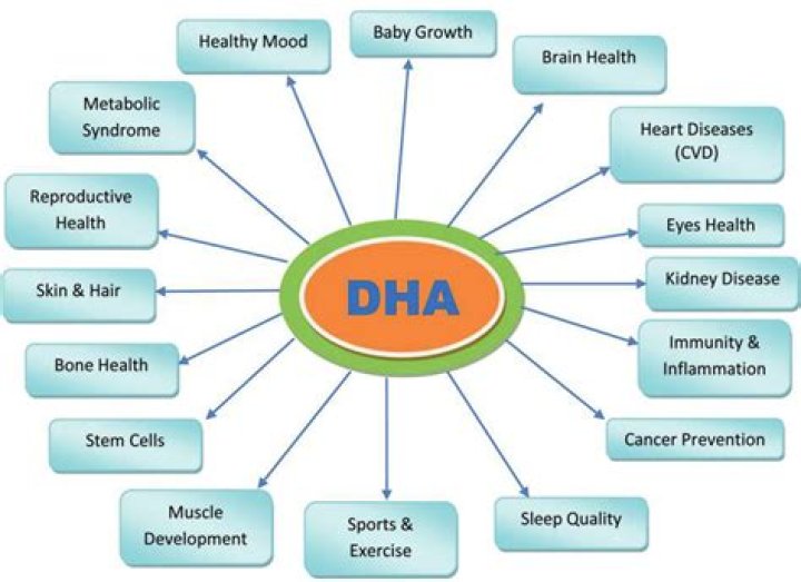 What is dha vitamin?