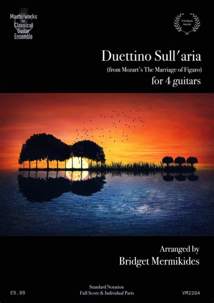 What is duettino sull'aria about?