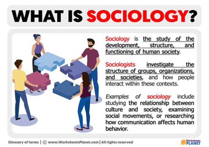 What is egoism in sociology?