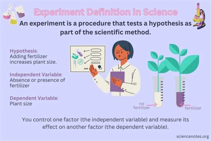 What is experimentation in science?