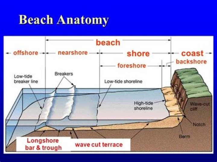 What is foreshore and backshore?