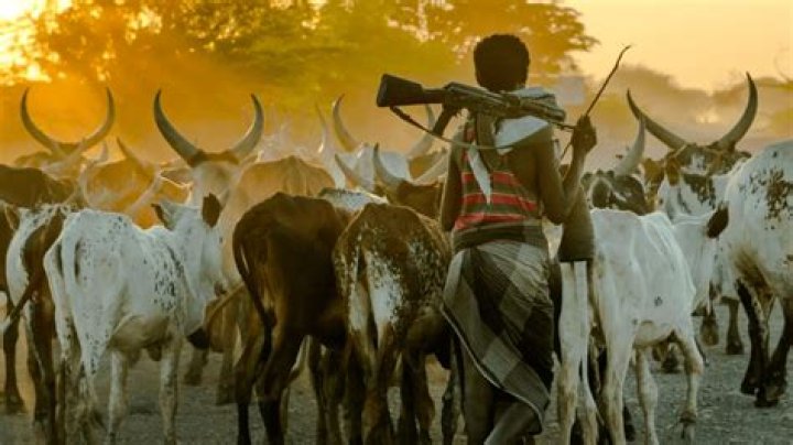 What is fulani herdsmen?