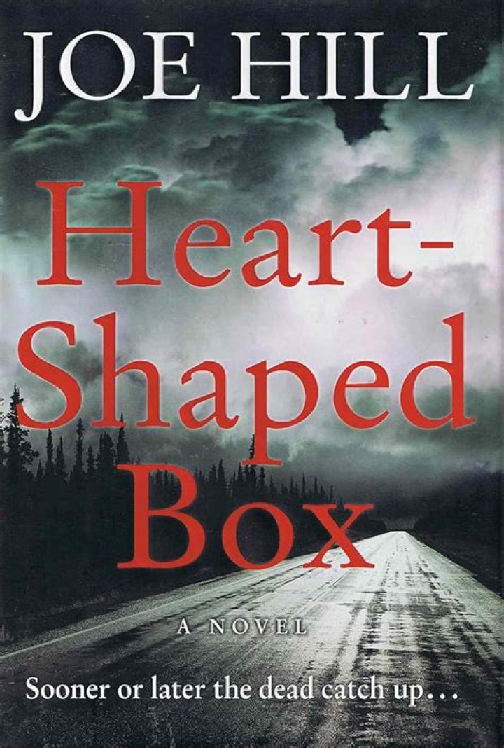 What is heart shaped box book about?