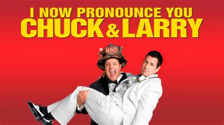 What is i now pronounce you chuck and larry about?