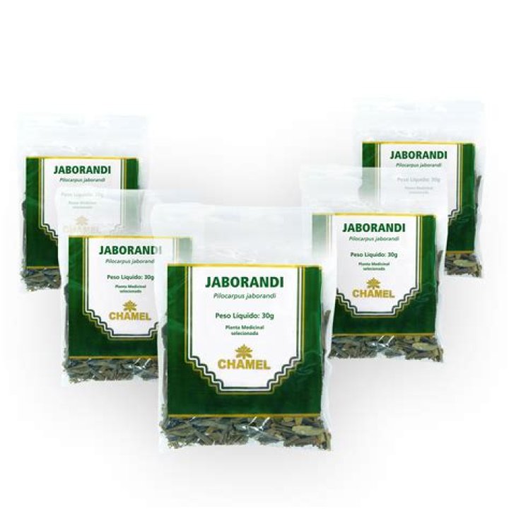 What is jaborandi herb?