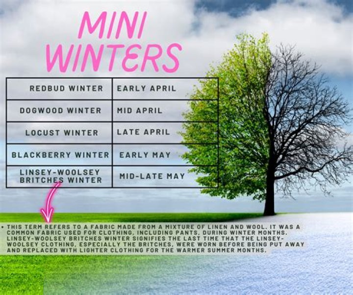 What is linsey woolsey britches winter?