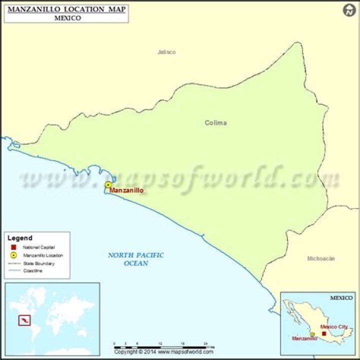 What is manzanillo in english?