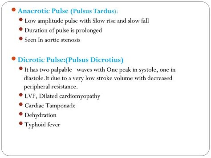 What is meant by anacrotic pulse?